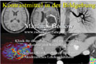 Kontrastmittel in der Bildgebung - 2010 -